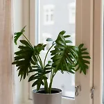 Renovated 3 In Historical Sandviken Bergen